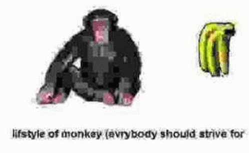 Monkey Banana GIF - Monkey Banana Funny GIFs