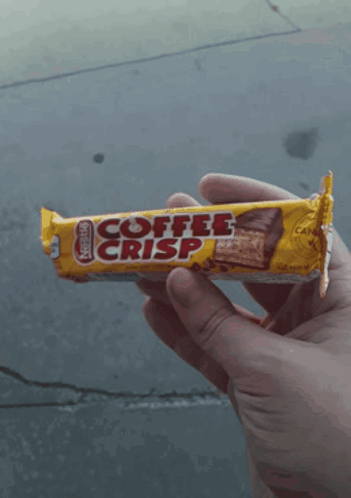 Coffee Crisp Candy Bar GIF - Coffee Crisp Candy Bar Chocolate Bar GIFs