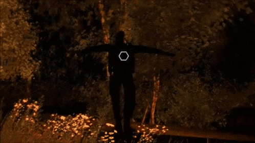 a silhouette of a person in a dark forest with a hex sign on their back