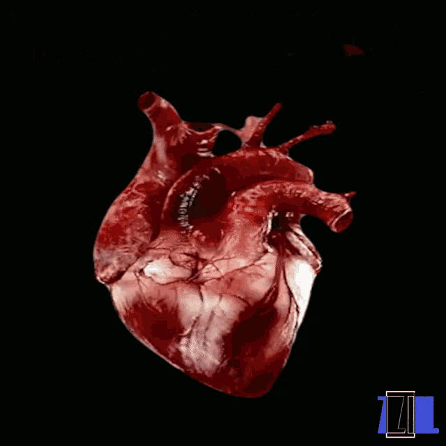 a poster with a bloody heart and the words " heartburn "