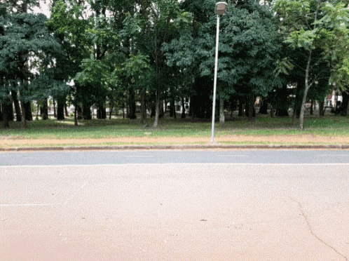 a street with trees in the background and a lamp post