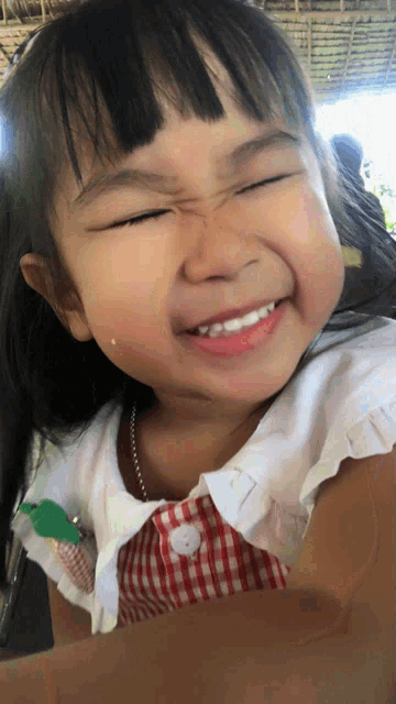 a little girl wearing a red and white checkered dress is smiling