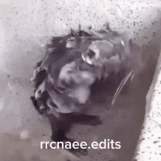 Antebin Hamamlari GIF