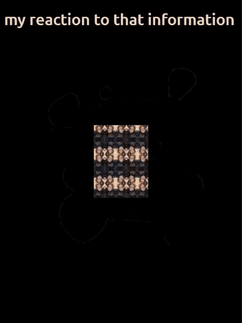 a kaleidoscope of faces with the words " my reaction to that information "