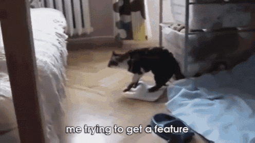 Me Trying To Get A Feature GIF - Cat Jump Bed GIFs