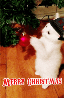 a merry christmas card with a white cat holding a christmas ball