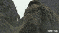 a close up of a gorilla with a hbo max logo in the corner .