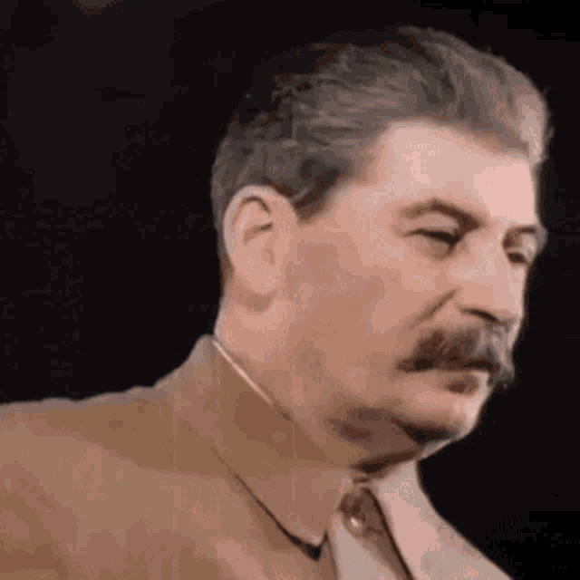 Stalin Stare GIF - Stalin Stare GIFs