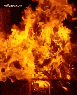 Fire.Gif GIF - Fire Burning Manta GIFs
