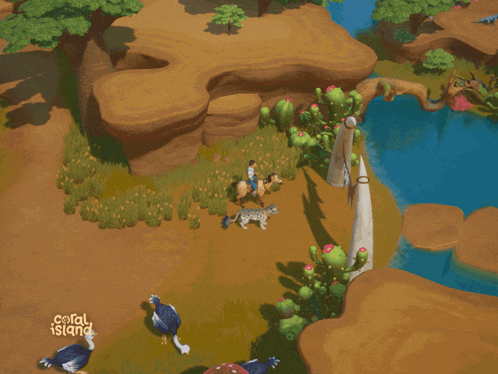 a coral island game is being played