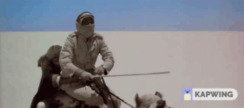 Lawrence Of Arabia Desert GIF - Lawrence Of Arabia Desert Camel GIFs