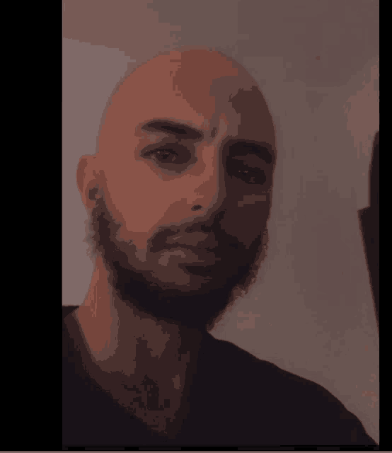 a man with a beard and a bald head