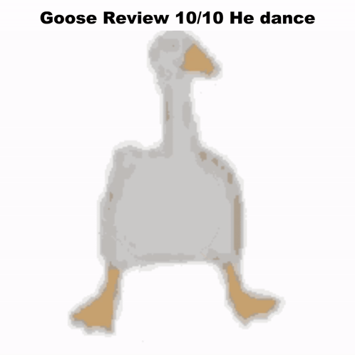 Goose Review Gos GIF - Goose Review Gos Goose Dance GIFs