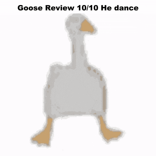 a picture of a goose with the words goose review 10/10 he dance below it