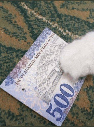 a 500 saudi arabian monetary authority bill is being scratched by a white cat