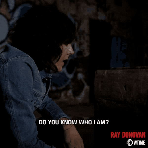 a poster for ray donovan showtime shows a woman