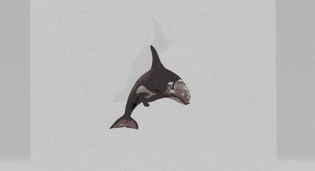 a black dolphin with a red face painted on it