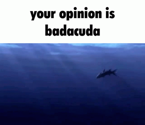 Barracuda Your Opinion GIF - Barracuda Your Opinion Bad Opinion GIFs