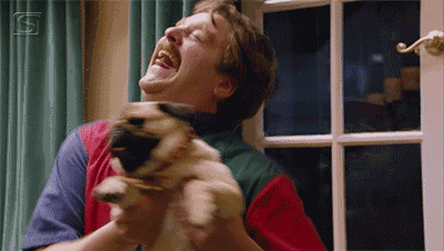 a man laughs while holding a pug dog in his arms