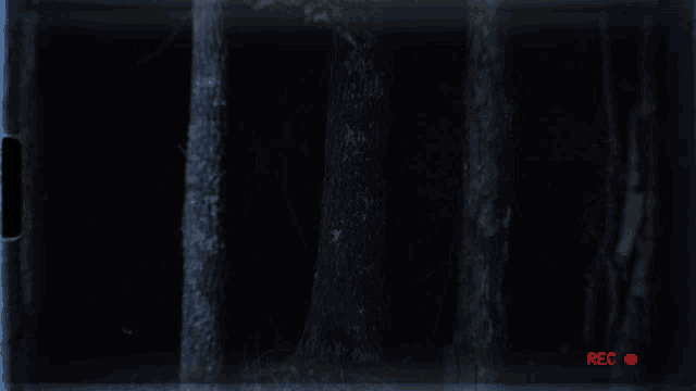 a person peeking out from behind a tree with a red rec button on the bottom