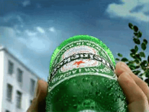 Heineken Beer GIF - Heineken Beer Drink GIFs
