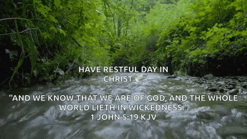 a picture of a river with a quote from 1 john