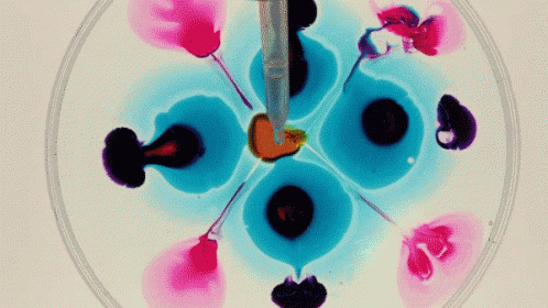 Colors In Water Ink GIF - Colors In Water Ink Water Art GIFs