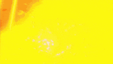 a close up of a person 's head with fire coming out of it