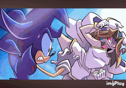 a cartoon of sonic the hedgehog standing next to another cartoon character with the word imgplay below them