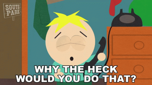 Why The Heck Would You Do That Butters Stotch GIF