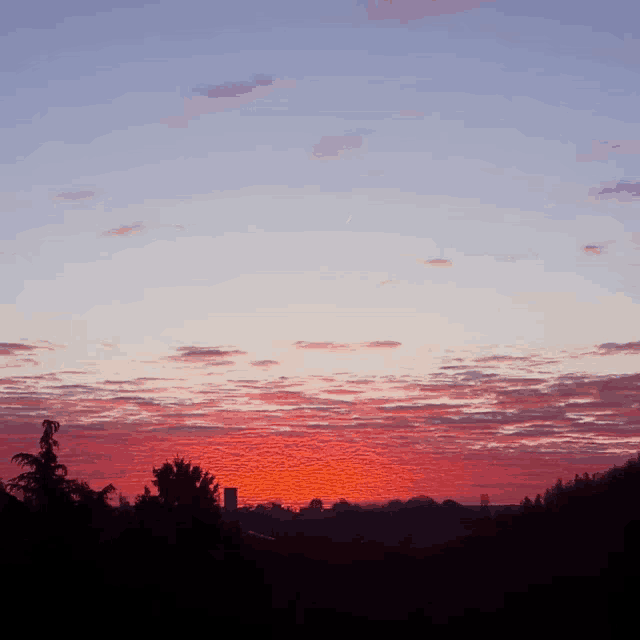 a sunset with trees in the foreground and a few buildings in the background