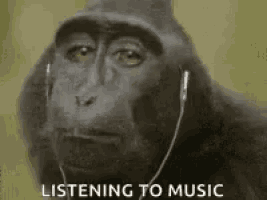 a gorilla wearing headphones and listening to music .