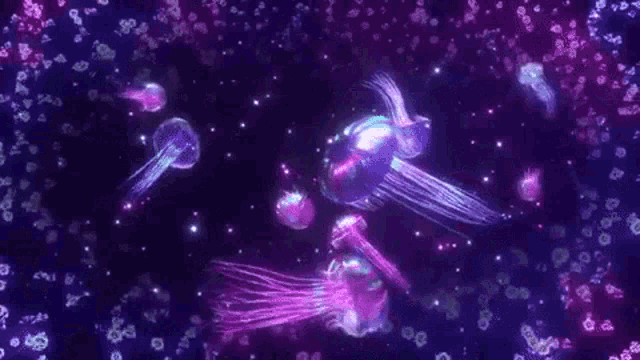 a group of glowing jellyfish are swimming in the dark water .