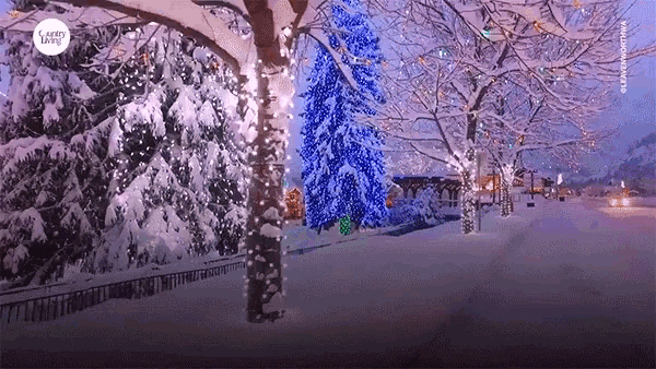 Frozen Snow GIF - Frozen Snow Frosty GIFs