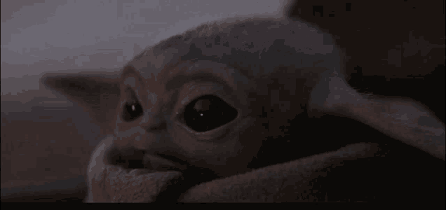 a close up of a baby yoda wrapped in a blanket and looking at the camera .