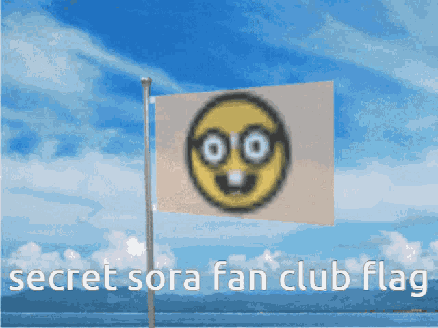 a secret sora fan club flag with a smiley face