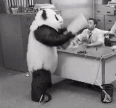 Angry Panda GIF - Angry Panda Rage GIFs