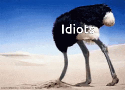 Idiots Hiding Head GIF - Idiots Hiding Head Ostrich GIFs