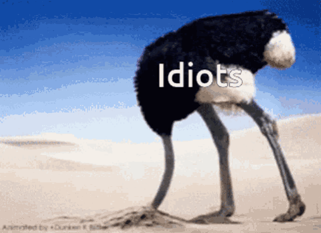 an ostrich standing in the sand with the word idiots written on its back