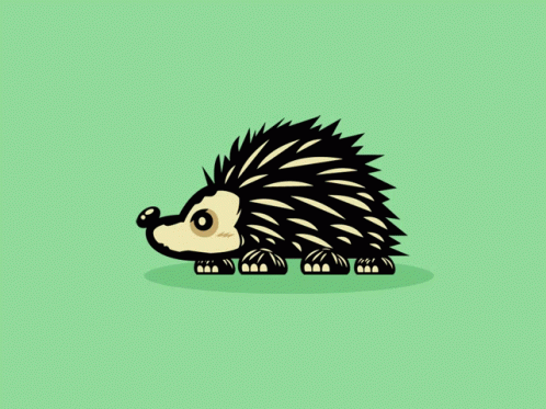 Porcupine Hedgehog GIF - Porcupine Hedgehog GIFs