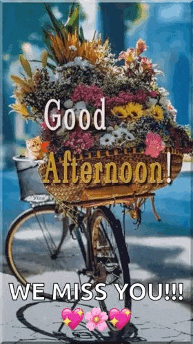 a bicycle with a basket full of flowers and a cat on it .
