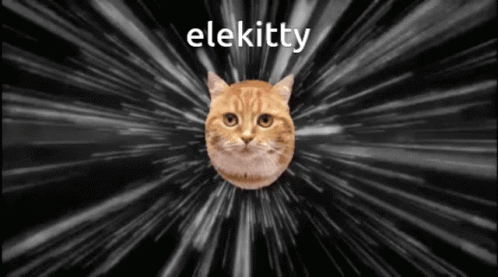 Elekitty Uglypoe GIF - Elekitty Uglypoe Monsters Of Etheria GIFs