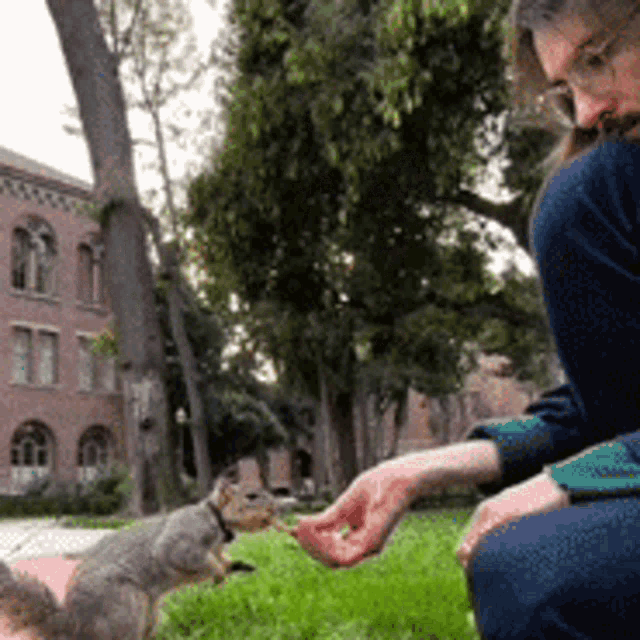 a woman is feeding a squirrel from her hand in a park