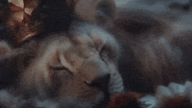 a lion cub with a crown on its head is sleeping in the clouds .