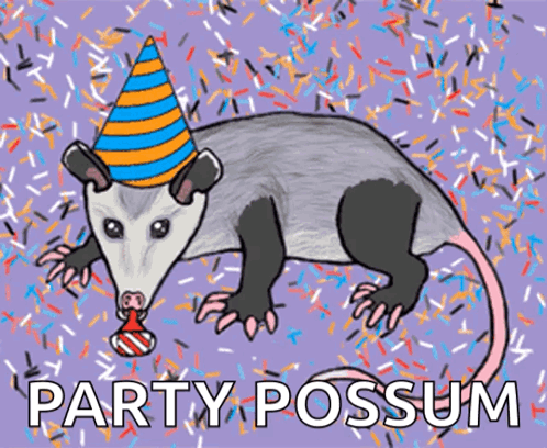 Party Opossum Party Possum GIF - Party Opossum Party Possum Happy Birthday GIFs