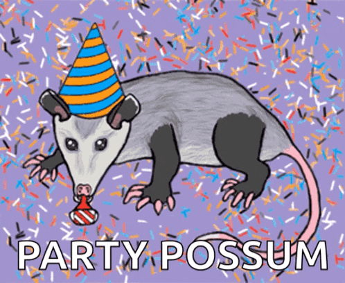 a drawing of an opossum wearing a party hat with the words party possum underneath it