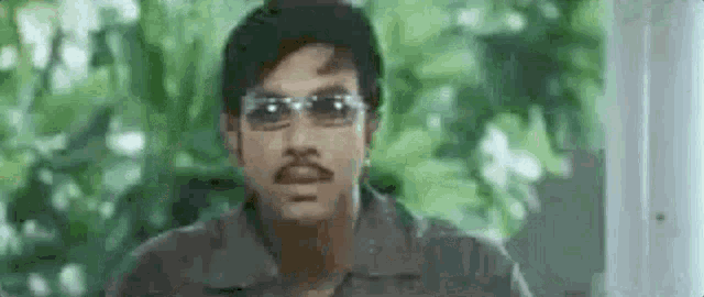 a man wearing sunglasses and a mustache is standing in front of a tree .