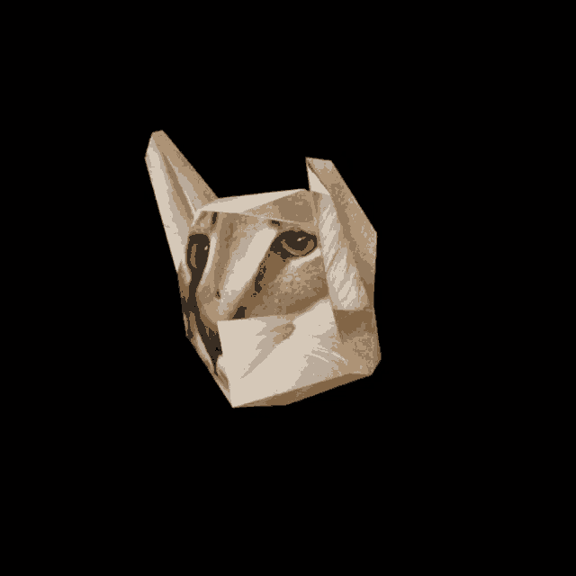 a piece of paper that looks like a cat 's head is against a black background