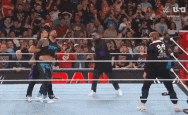 a group of wrestlers are in a ring with a banner that says usa on it