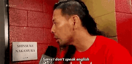 Sorry I Dont Speak English Wwe GIF